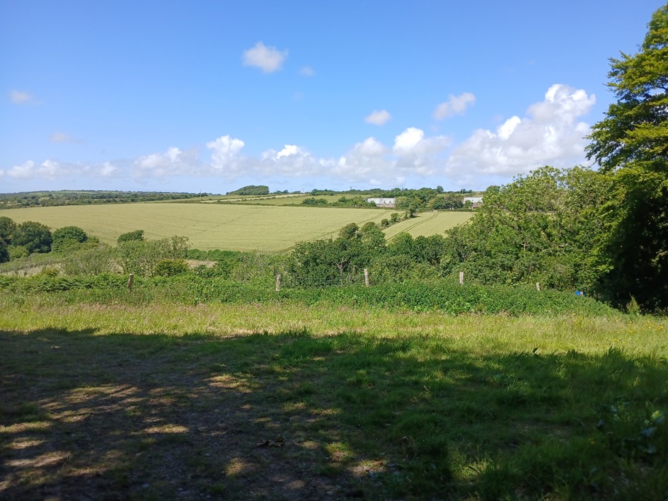 Activité agricole bruyante et voisinage